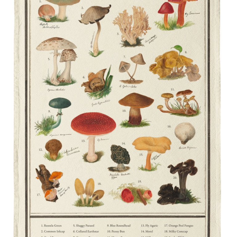 fungi tea towel